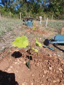 bassin irrigation agroécologique